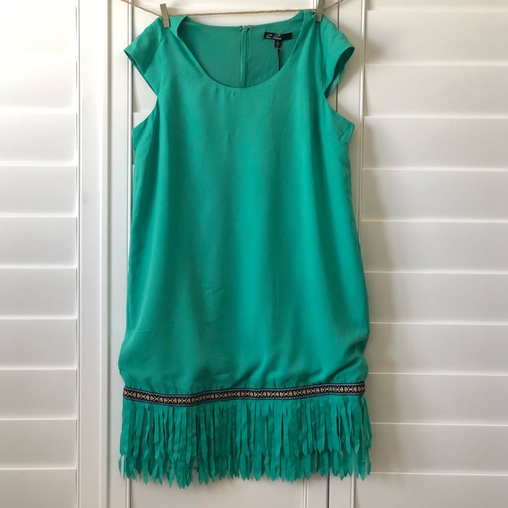 C. Luce Fringe Dress L